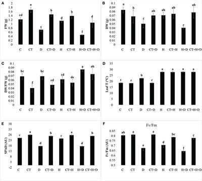 Trichoderma spp.-mediated mitigation of heat, drought, and their combination on the Arabidopsis thaliana holobiont: a metabolomics and metabarcoding approach